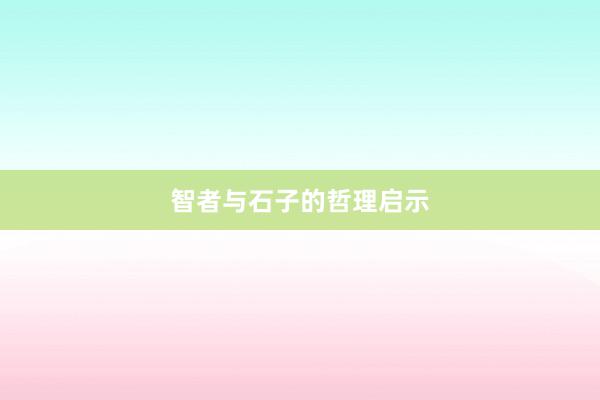 智者与石子的哲理启示