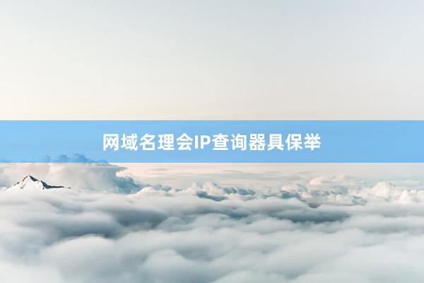 网域名理会IP查询器具保举
